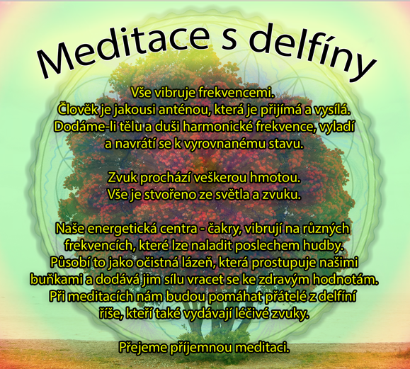Mandala predni